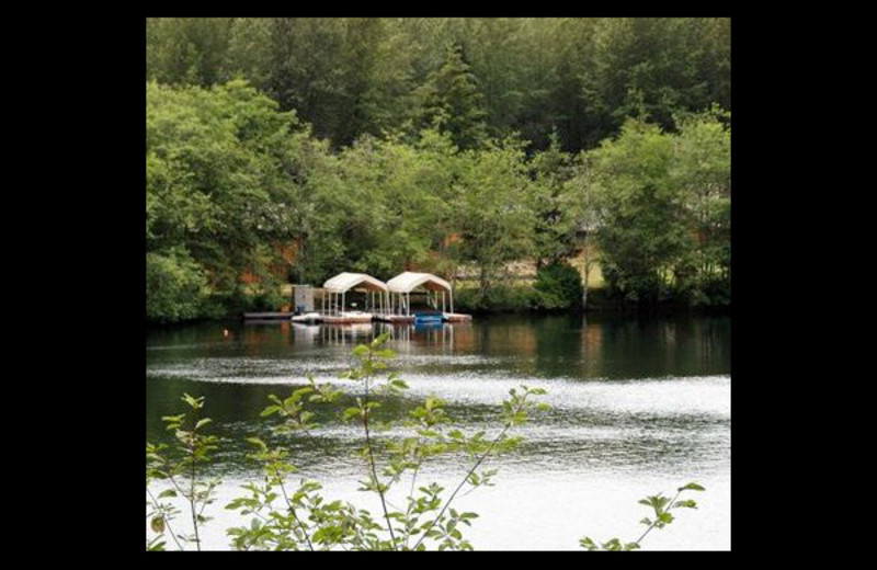 Lake view at Honeymoon Bay Lodge & Retreat.