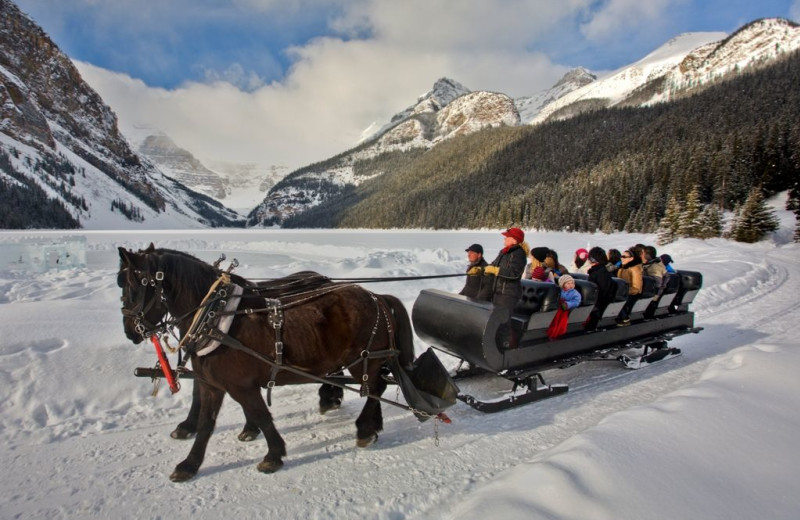 Horse sleigh ride at Mountaineer Lodge.