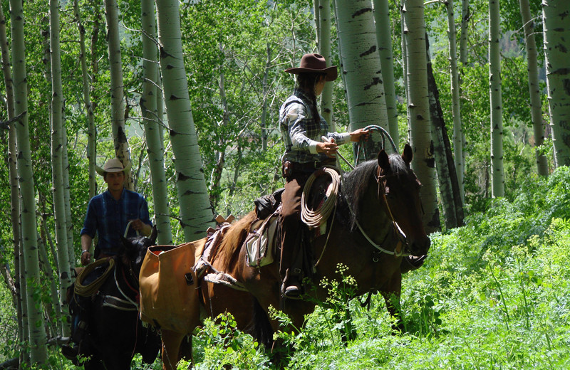 Latigo Ranch