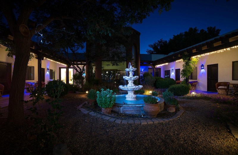 Fountain at Casa de San Pedro Bed 