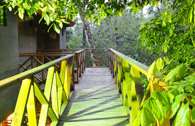 Exterior view of Cascadas Farallas Waterfall Villas.
