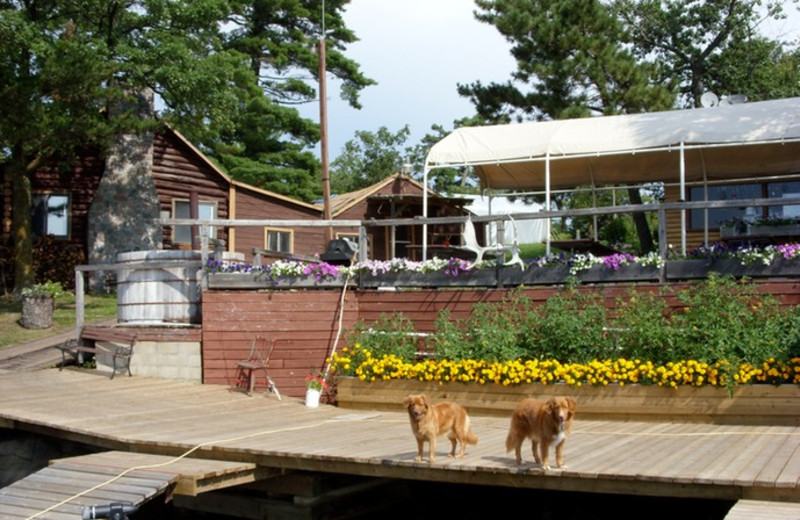 The dock at Lake Of The Woods Lodge.