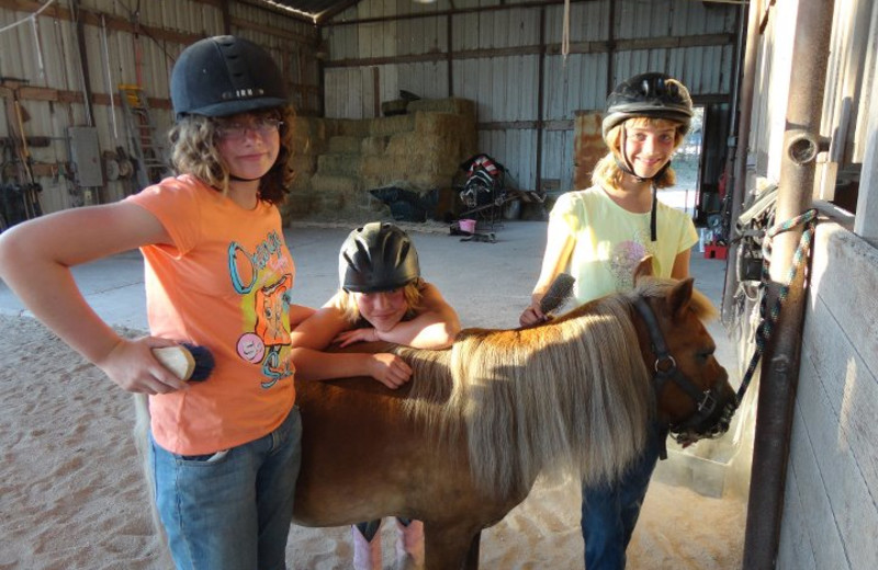 Caring for Horses at Sugar & Spice Ranch