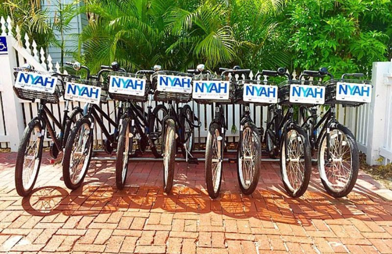 Bikes at NYAH Key West.