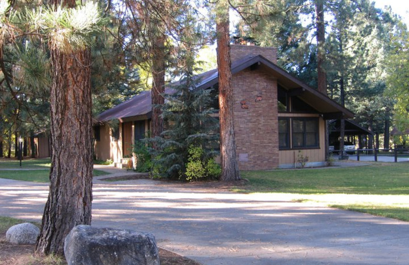 Cabin exterior at Eagles Nest Cabins.