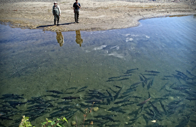 Fishing at The Alaska Adventure Company.