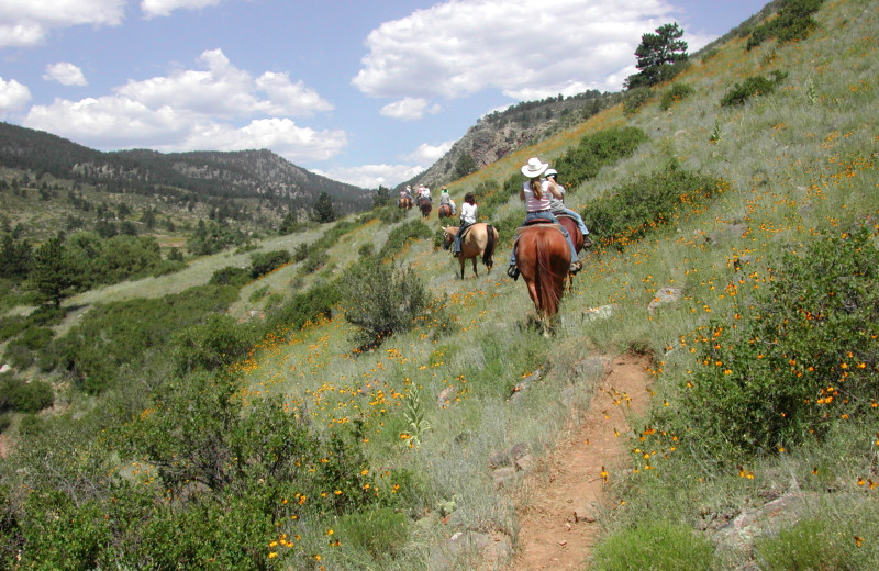 Horseback riding at Sylvan Dale Guest Ranch.