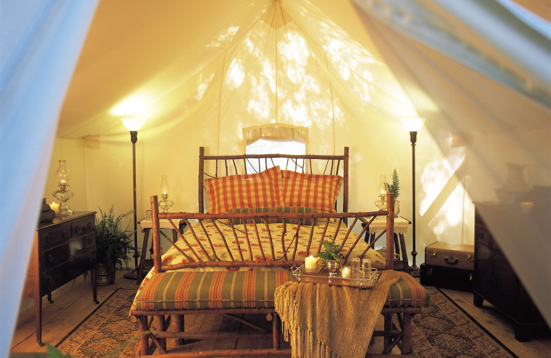 Bedroom view at Clayoquot Wilderness Resort.