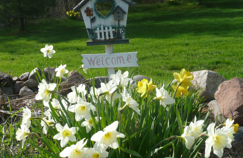 Garden at Woodside Cottages of Bayfield.