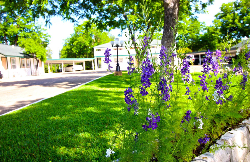 Exterior view of Peach Tree Inn & Suites.