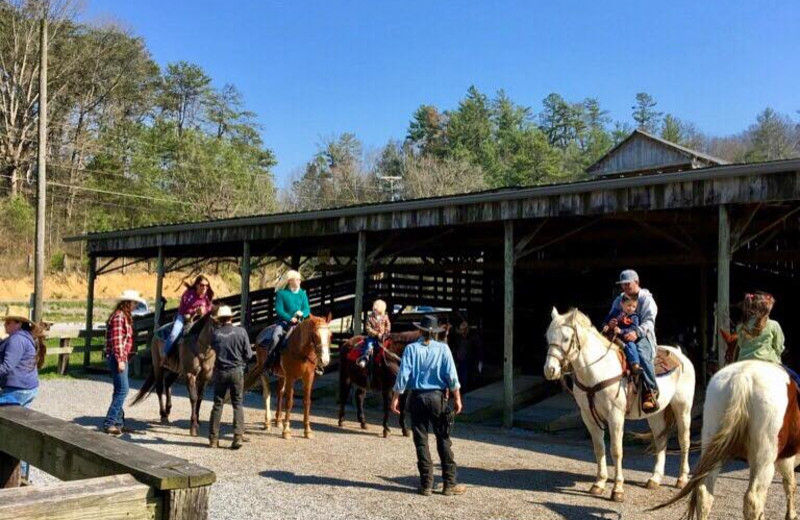 Horseback Riding