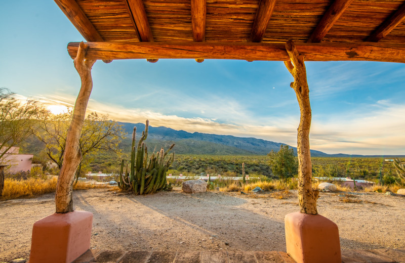 Scenic view at Tanque Verde Ranch.