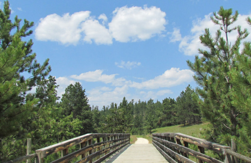 Trails at High Country Guest Ranch.