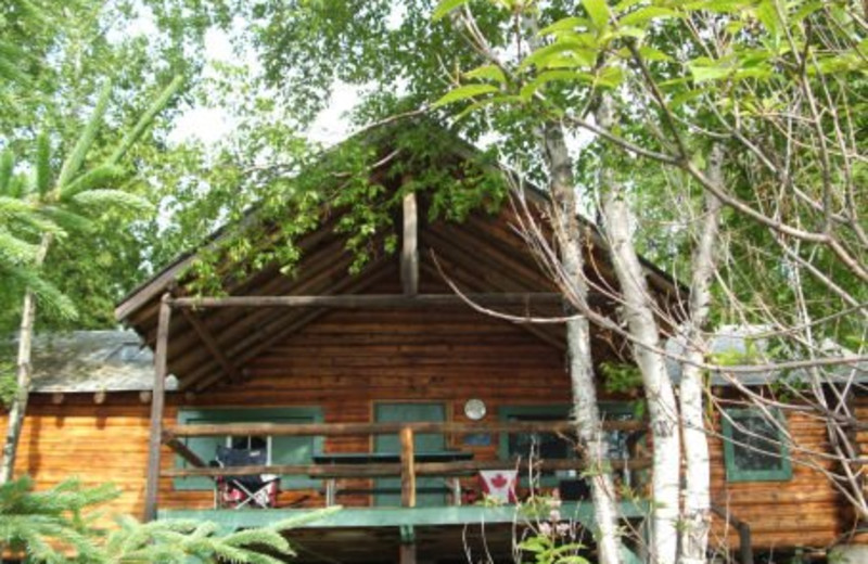 Pickerel Bay Cabin at Lac La Ronge Lodge