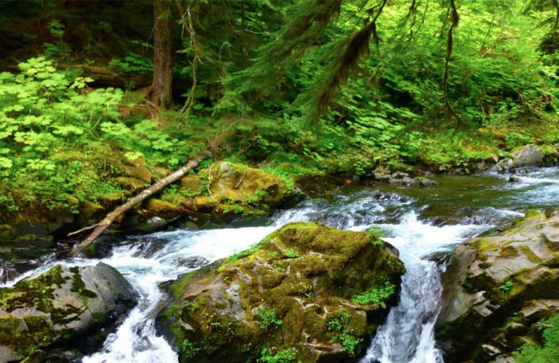 Sol Duc Waterfall near Brigadoon Vacation Rentals.