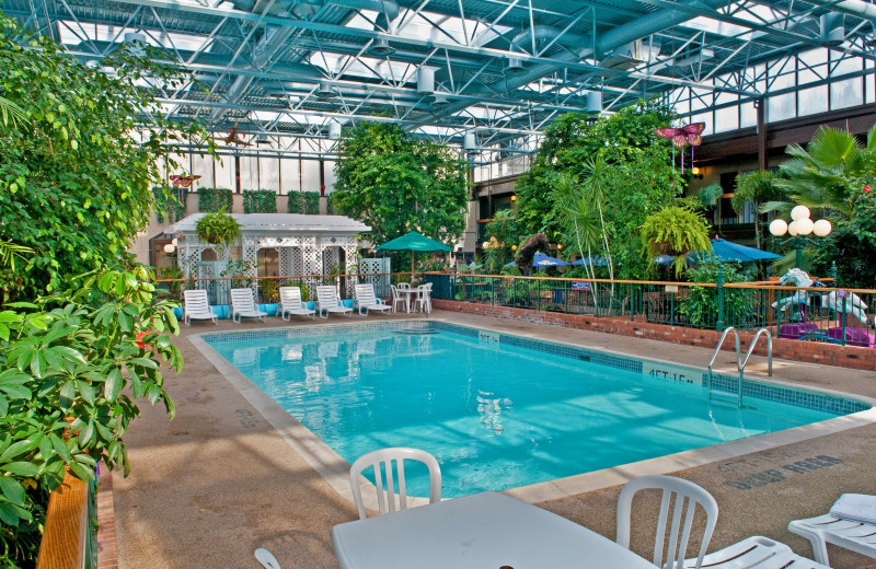 Tropical courtyard pool atCairn Croft Best Western Plus Hotel.