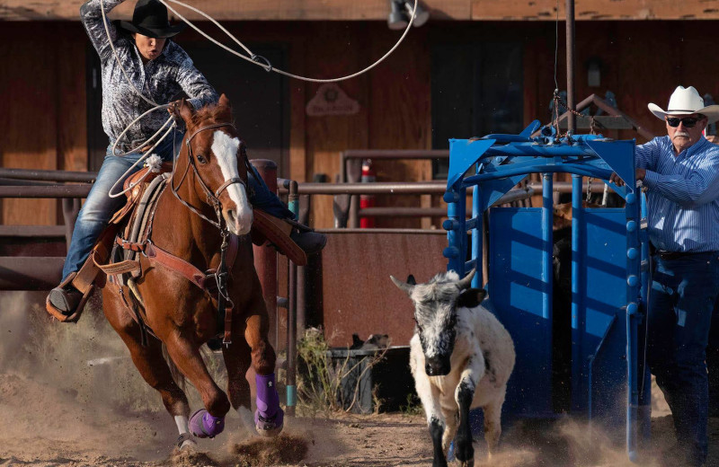 Rodeo at White Stallion Ranch.