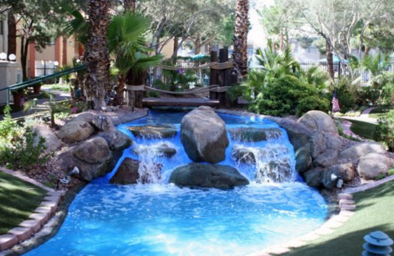 westgate flamingo bay resort in las vegas