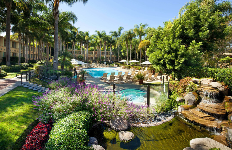 Outdoor pool at Sheraton La Jolla Hotel.