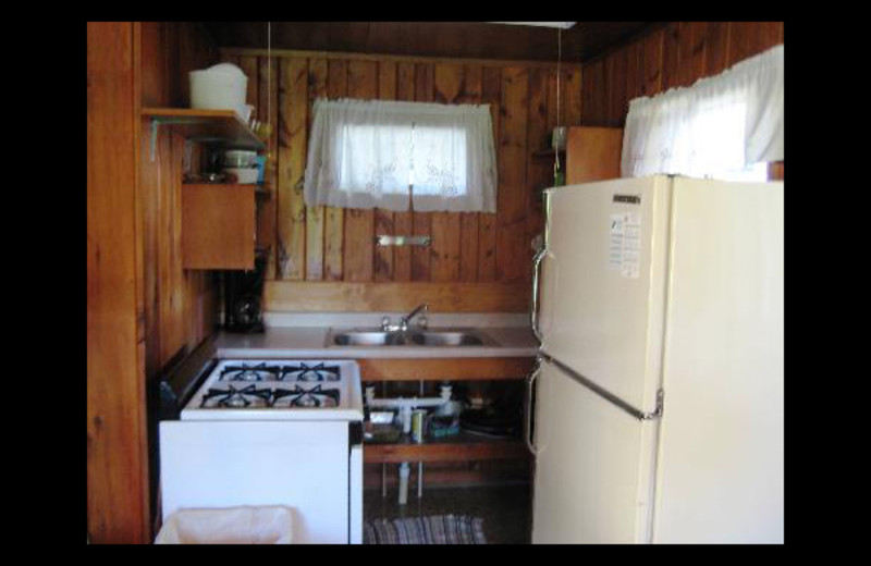 Cabin kitchen at Birch Grove Resort.