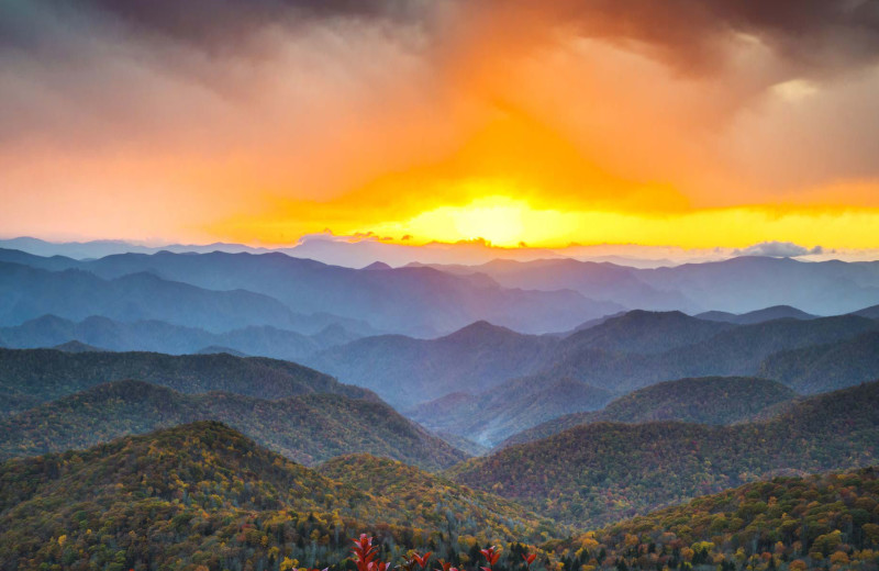 Mountains at Laurel Ridge Country Club & Event Center.