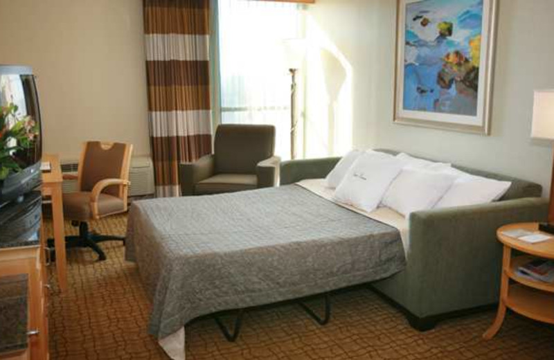 Guest Room at Doubletree by Hilton