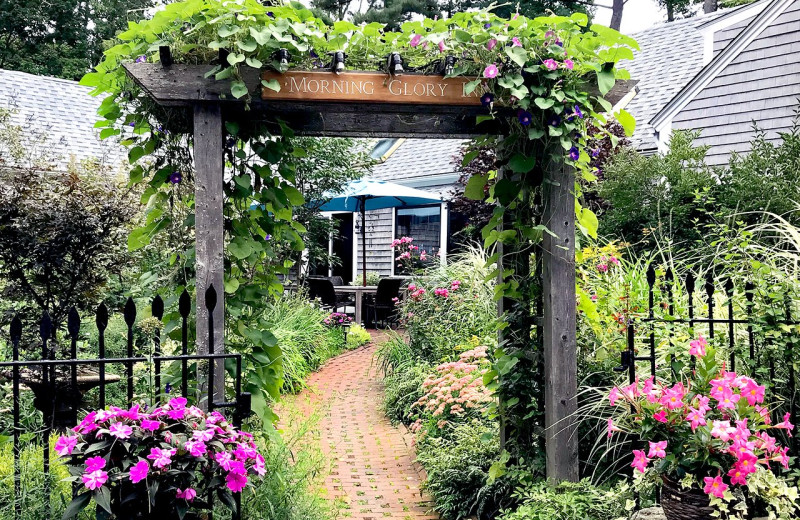 Exterior view of Morning Glory Inn.