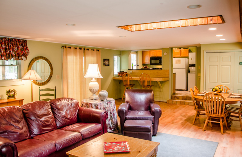 Cabin living room and kitchen at Asheville Cabins of Willow Winds.