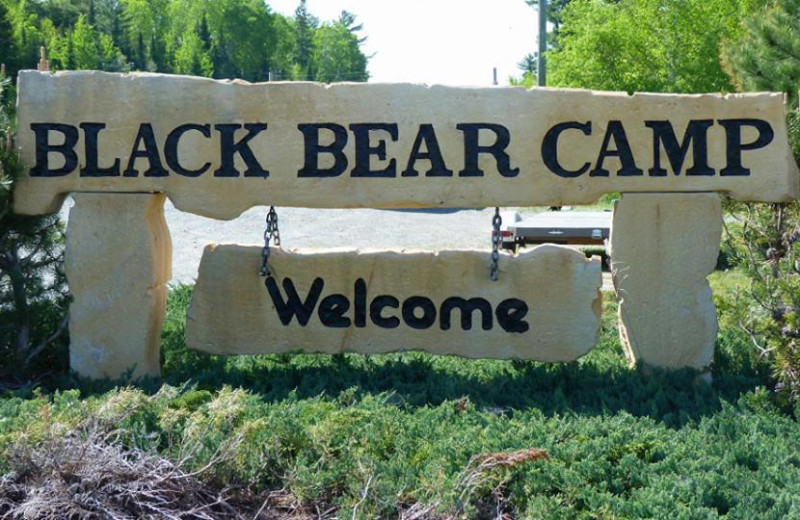 Welcome to Black Bear Fishing Vacations