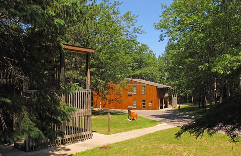 Cabins at UAW Black Lake.