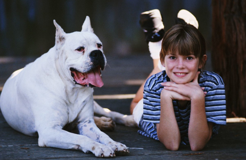 Pet friendly accommodations at Ocean View Resort.