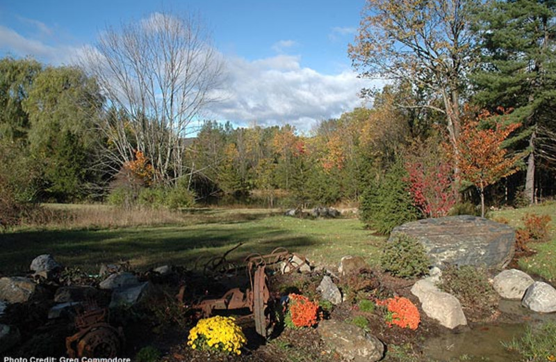 Yard view at Moondance Ridge Bed & Breakfast.