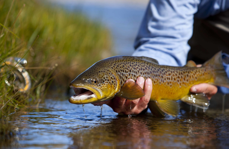 Fishing at Utah Family Lodges.