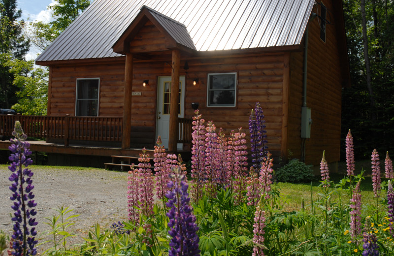 Cabin exterior at Cabins at Lopstick.