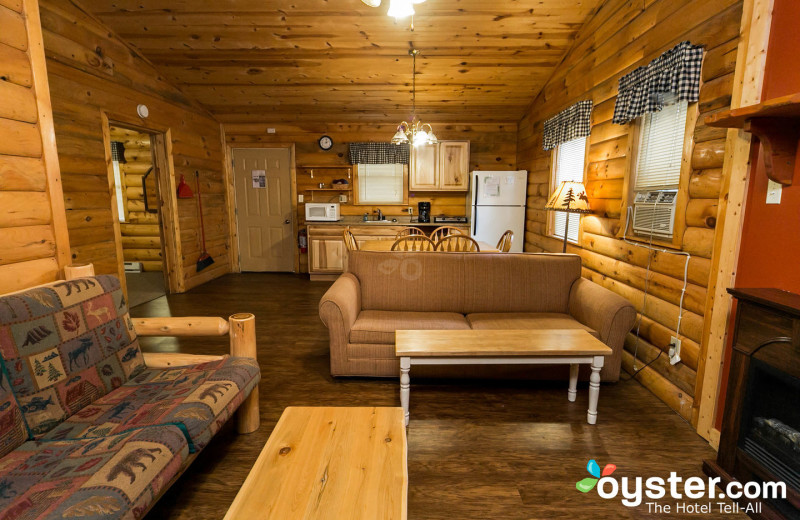 Cabin living room at Birchcliff Resort.