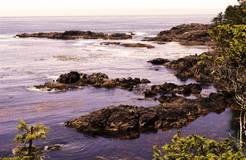 View from Wild Pacific Trail, just a few minutes walk from Sutton Cottage