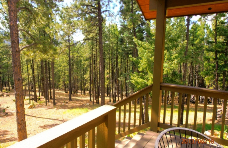 Rental deck view at Resort Properties of Angel Fire.