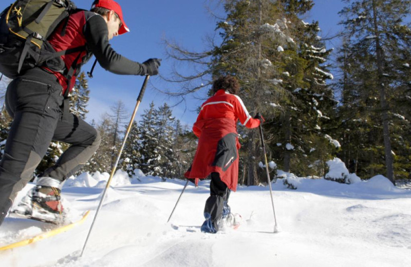 Cross country skiing at The Conger Collection.