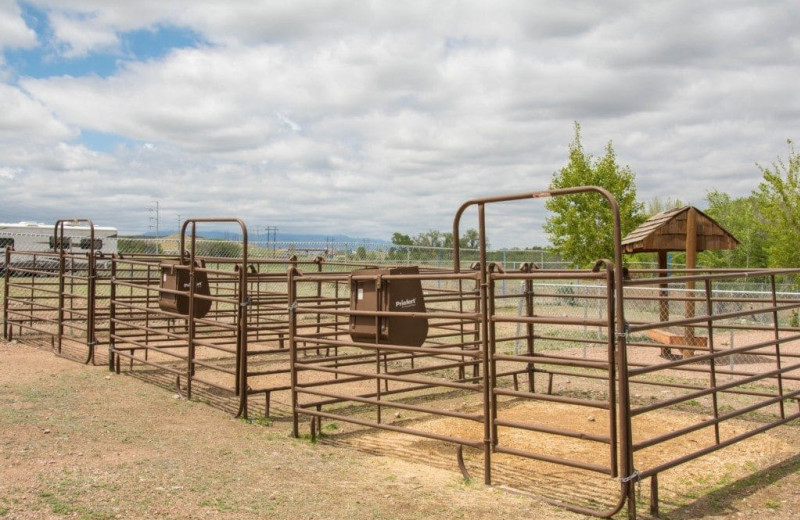 Horse stables at Colorado Springs KOA.