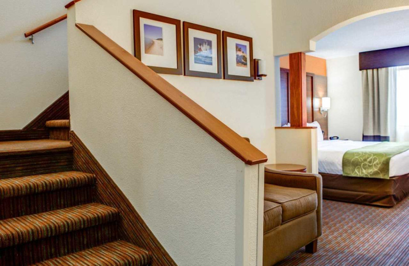 Guest room at Comfort Suites Stevensville - St. Joseph.