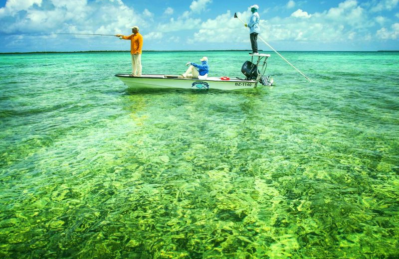 Fishing at Turneffe Flats.