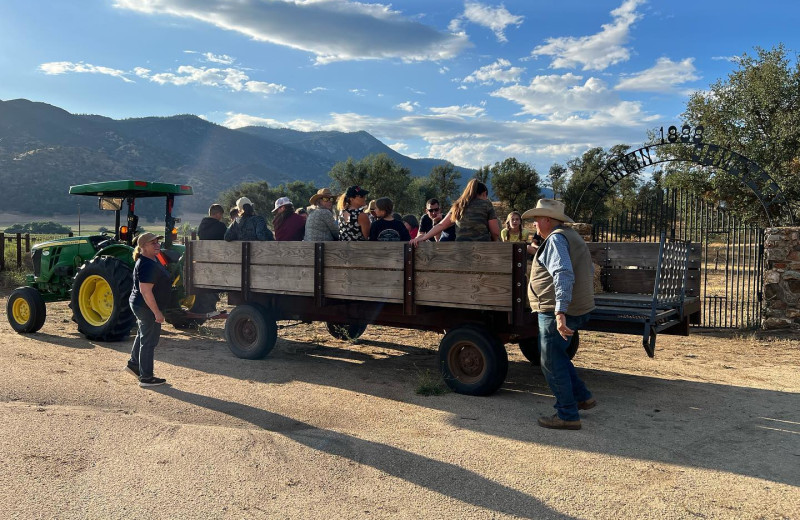 Wagon ride at Rankin Ranch.