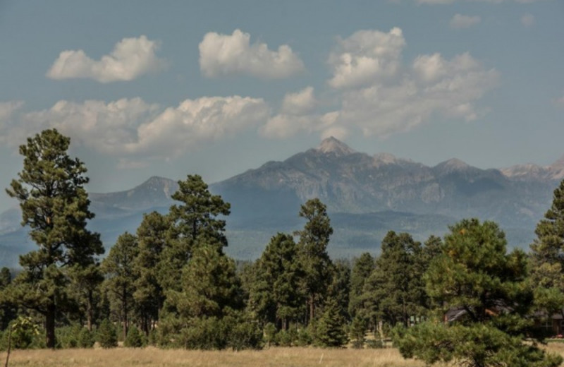 Mountain view at Pagosa Springs Accommodations.