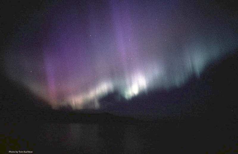 Northern lights at Inn on Lac Labelle.
