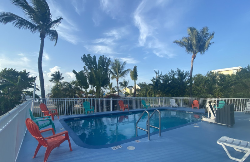 Outdoor pool at Blackfin Resort Motel 