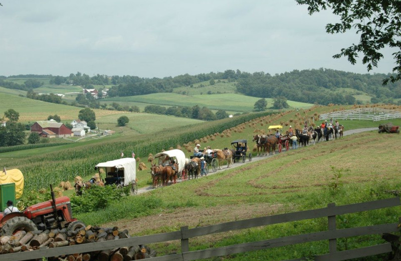 Amish carriages at Guggisberg Swiss Inn/Amish Country Riding Stables.