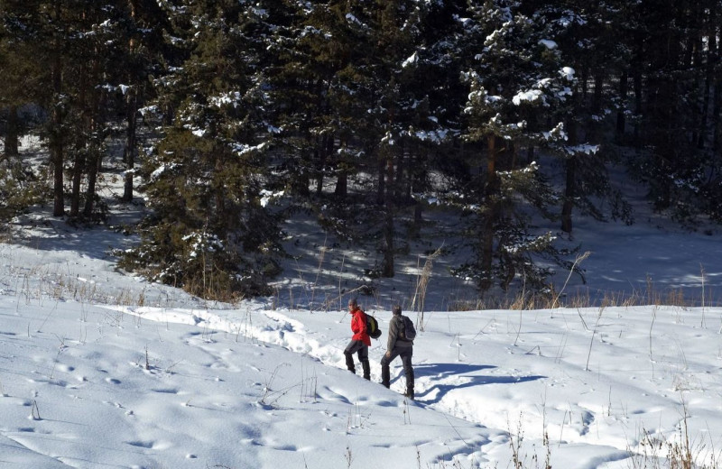 Snowshoeing at Grand Ely Lodge.