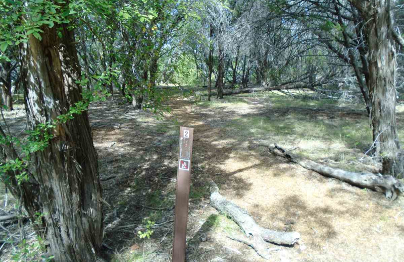 Campground at Inks Lake State Park.