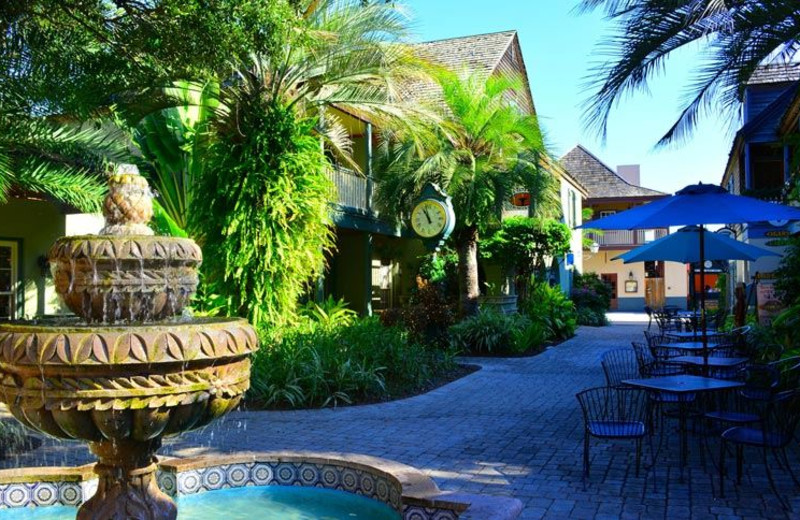 Beautiful Grounds at The Saint Augustine Beach House