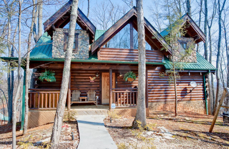 Cabin at Alpine Mountain Chalets. 